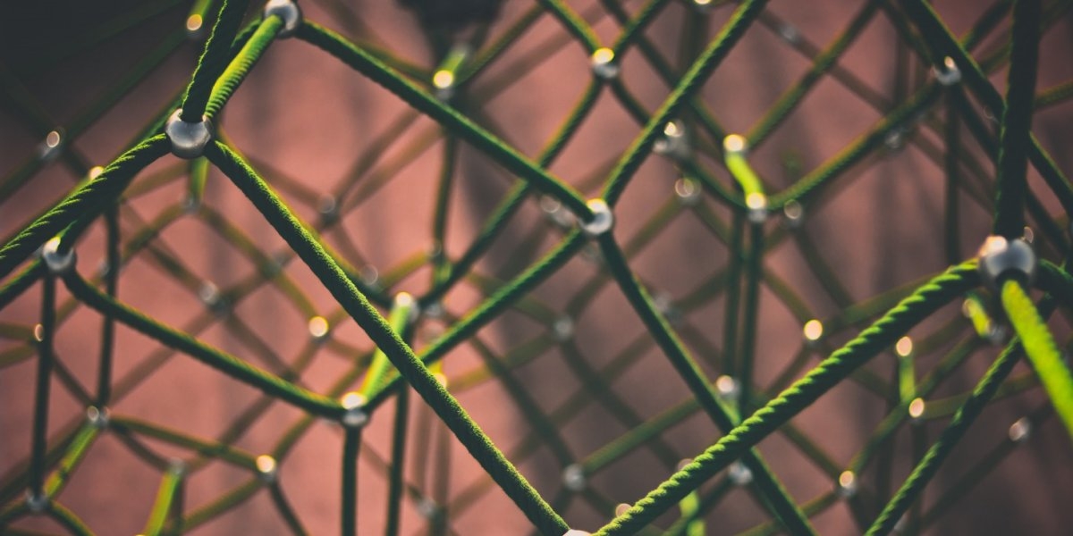 Web of connected rope