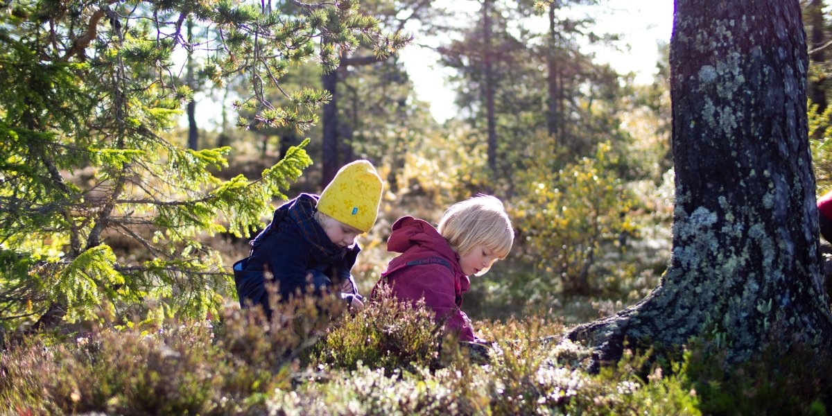 Bilde mangler beskrivelse