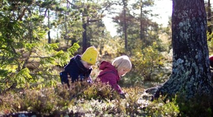 Bilde mangler beskrivelse