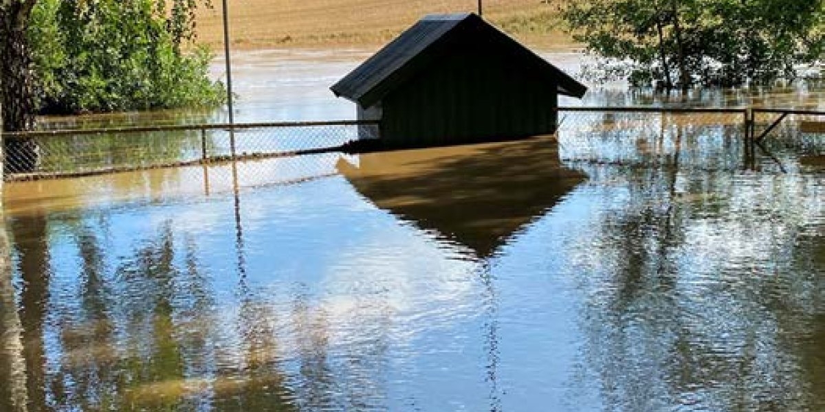 Bilde mangler beskrivelse