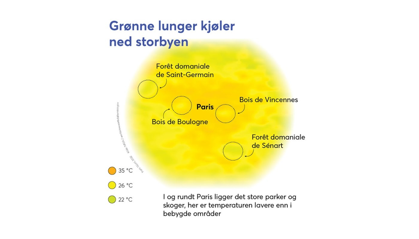 Bilde mangler beskrivelse