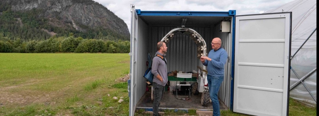 Roboten Thorvald (i midten) fra NMBU belyser plantene med UV-lys og hindrer melduggsopp. SImen Myhrene (t.h) forklarer til CICERO-forsker Bob van Oort. 