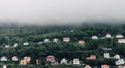 hus i skogen 