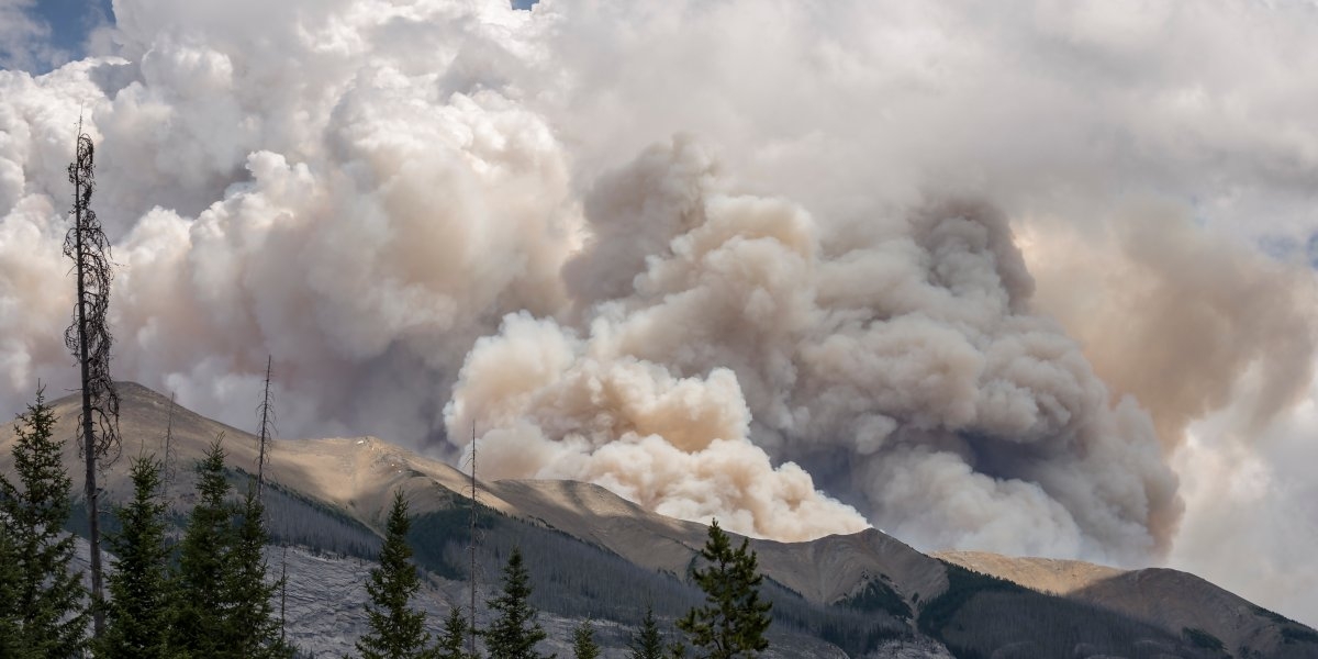 Image missing description