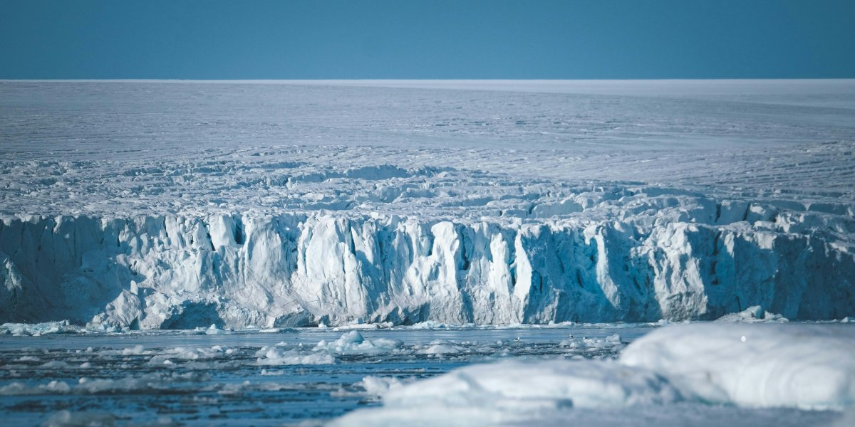 Image missing description