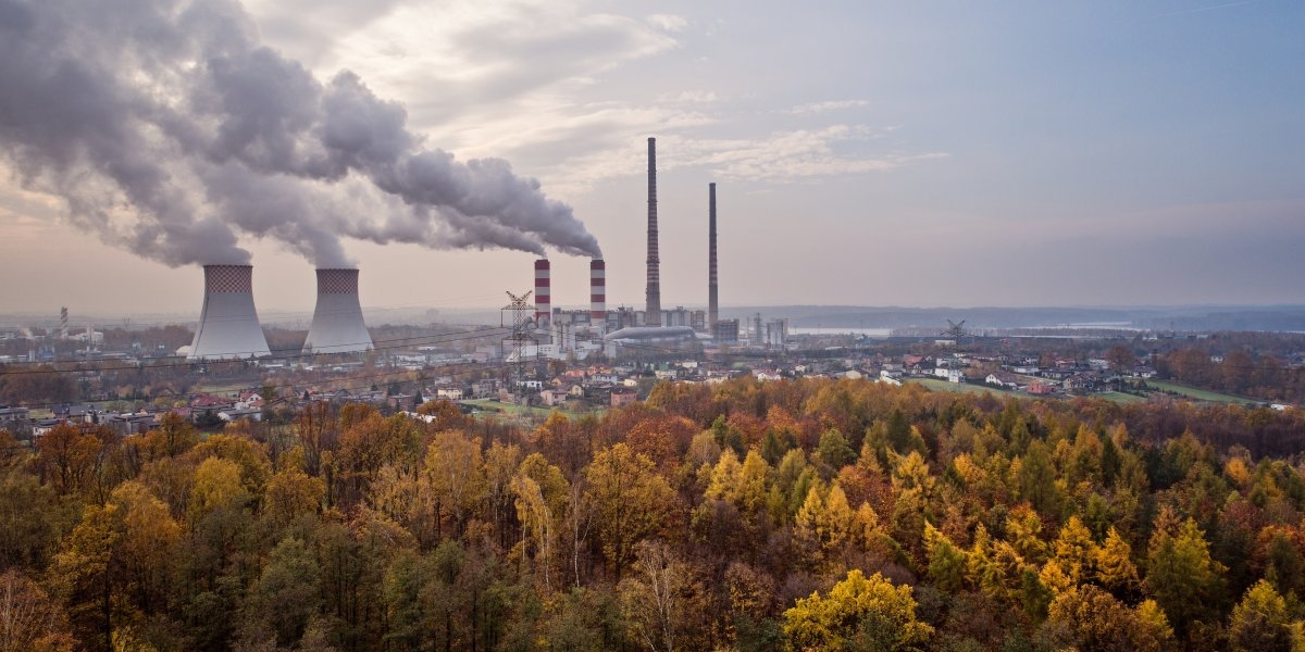 Image missing description