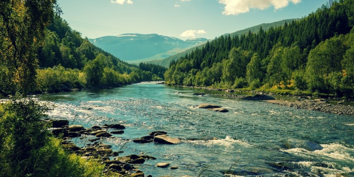 Image missing description