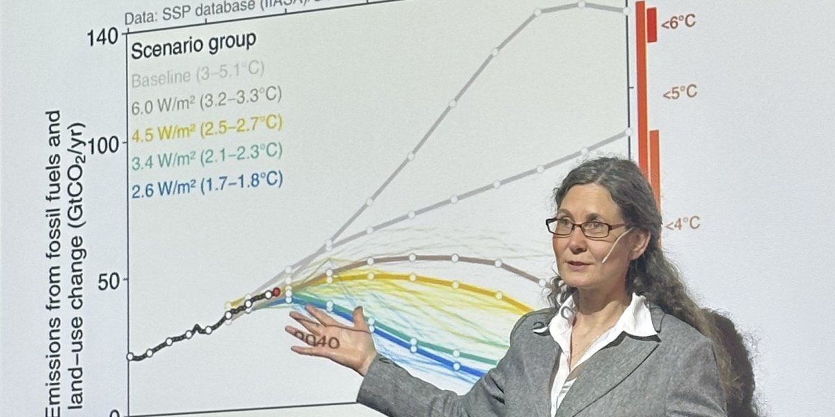Bilde mangler beskrivelse