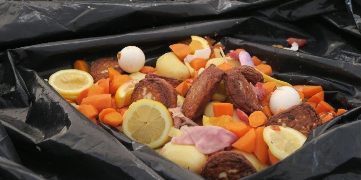 Bilde mangler beskrivelse