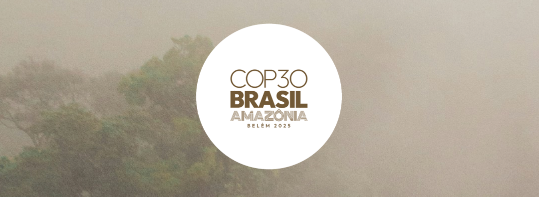 Bilde mangler beskrivelse