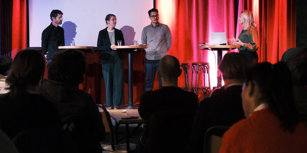 Bilde mangler beskrivelse
