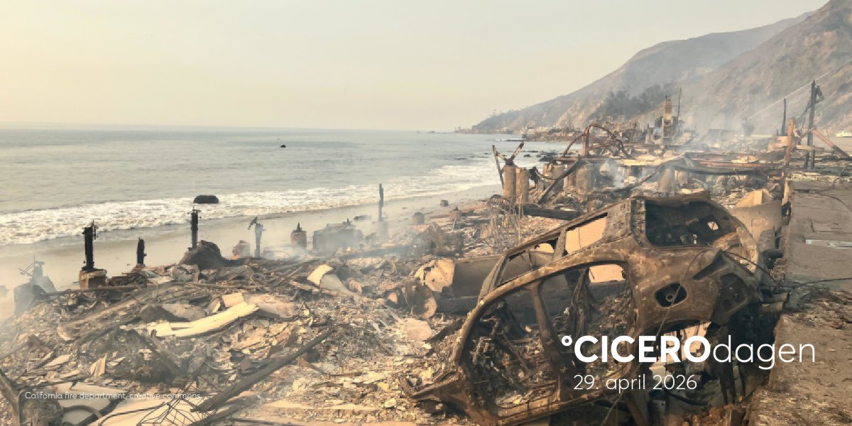 Bilde mangler beskrivelse