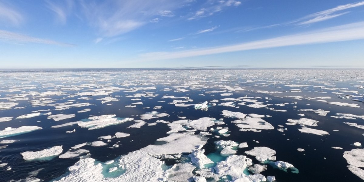 Bilde mangler beskrivelse