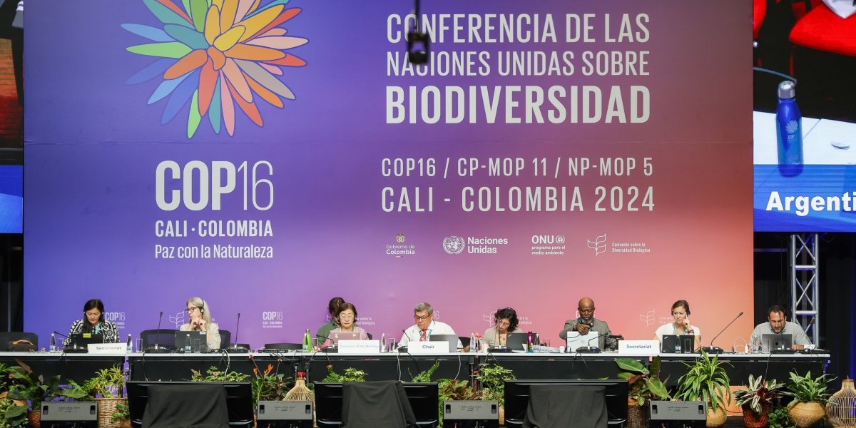 Bilde mangler beskrivelse