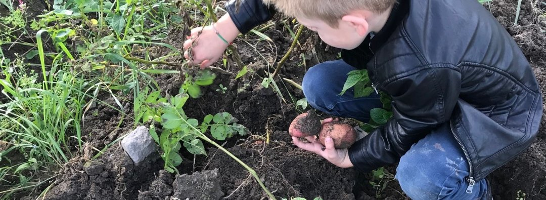 Bilde mangler beskrivelse