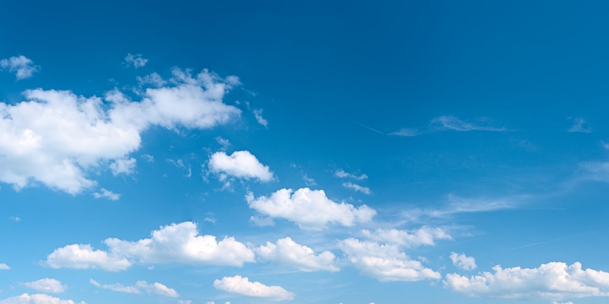 Bilde mangler beskrivelse