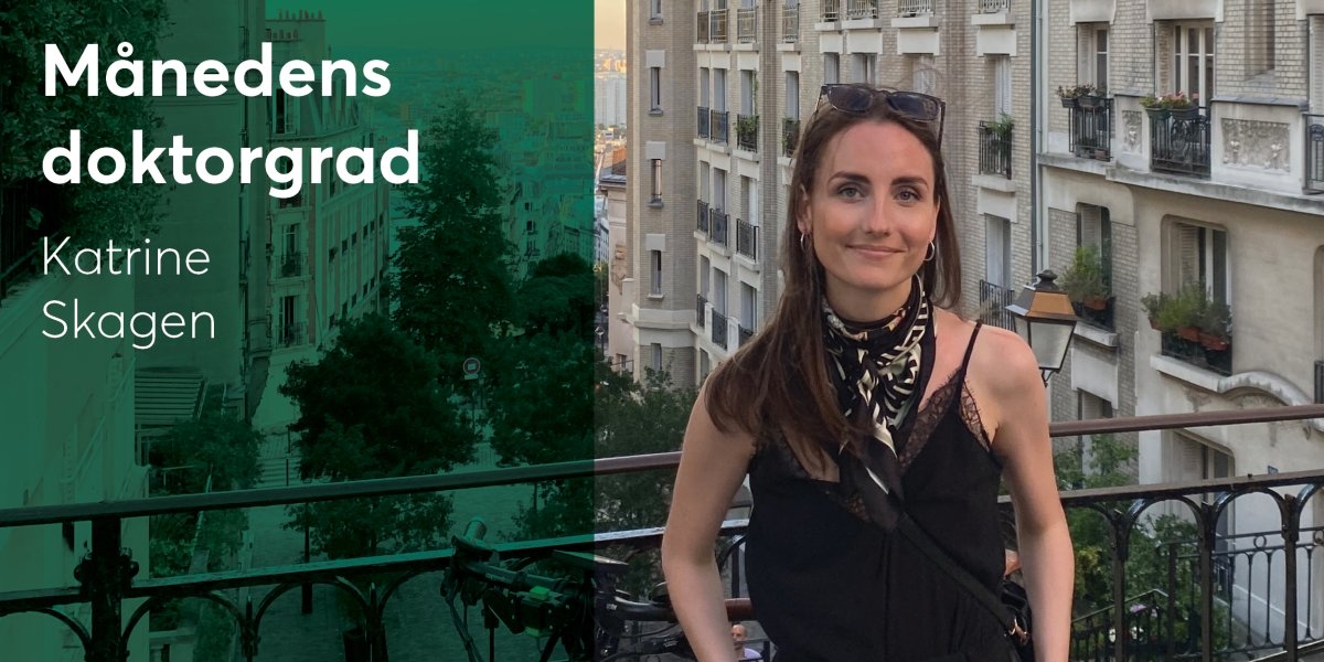 Bilde mangler beskrivelse