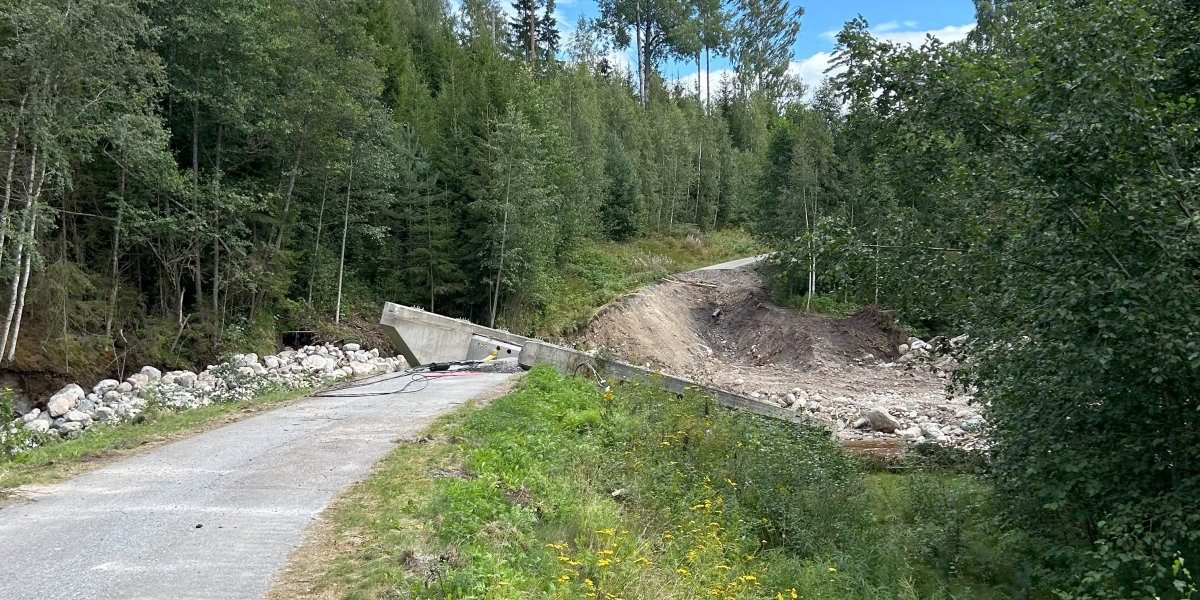 Bilde mangler beskrivelse