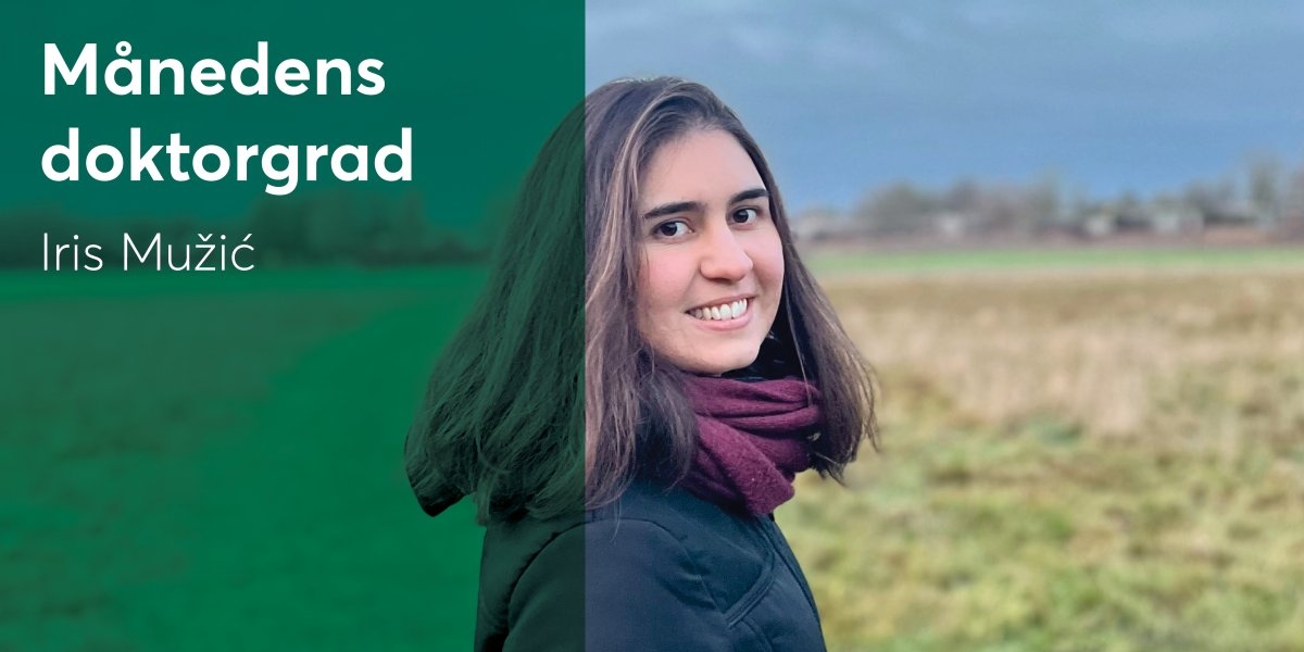 Månedens doktorgrad - Iris Mužić