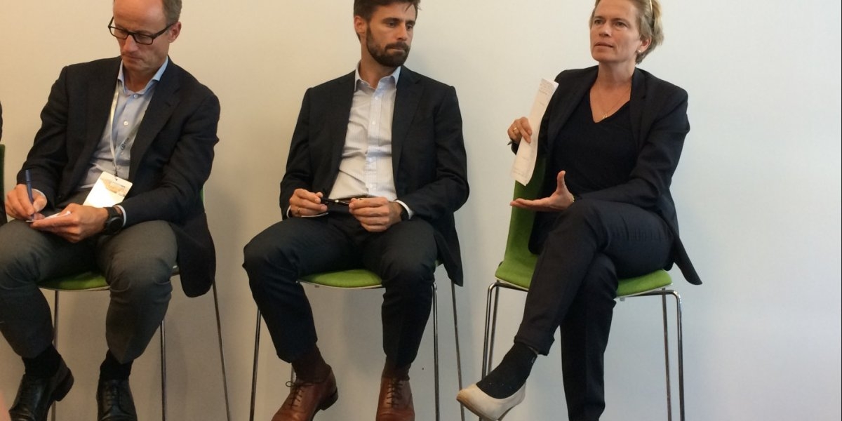 Bilde mangler beskrivelse