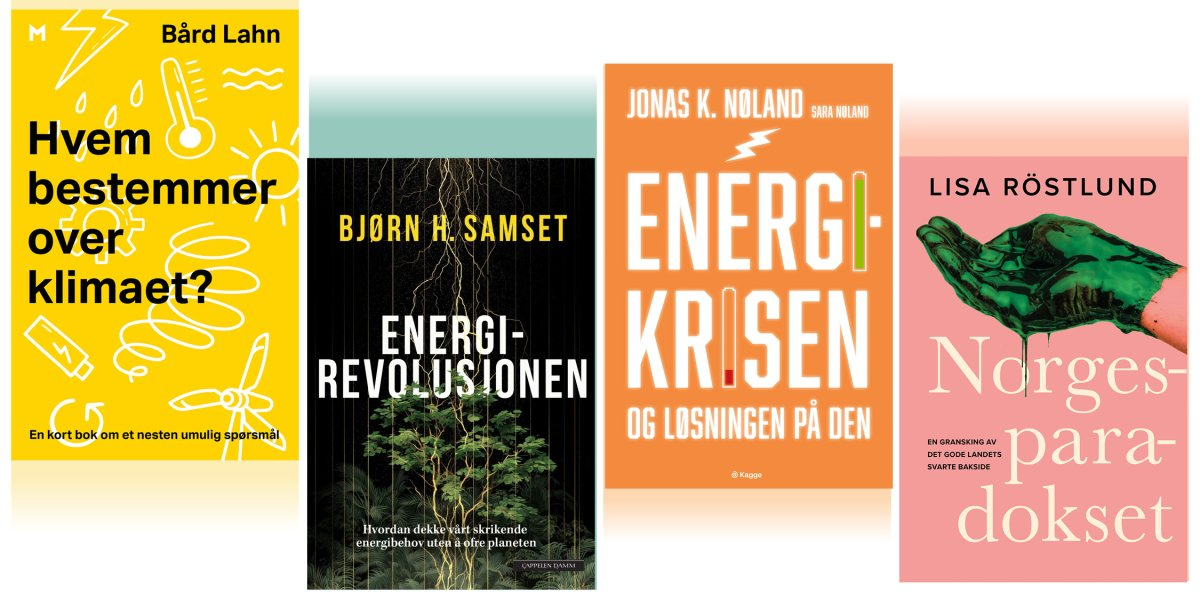 Bilde mangler beskrivelse