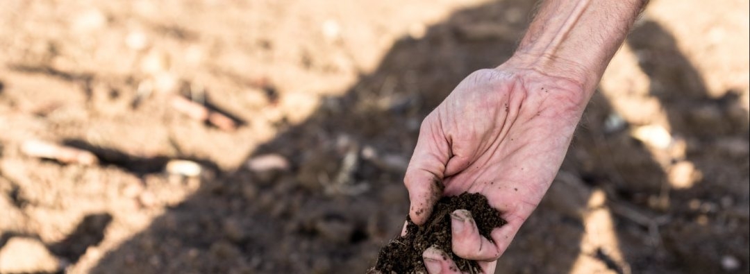 Bilde mangler beskrivelse